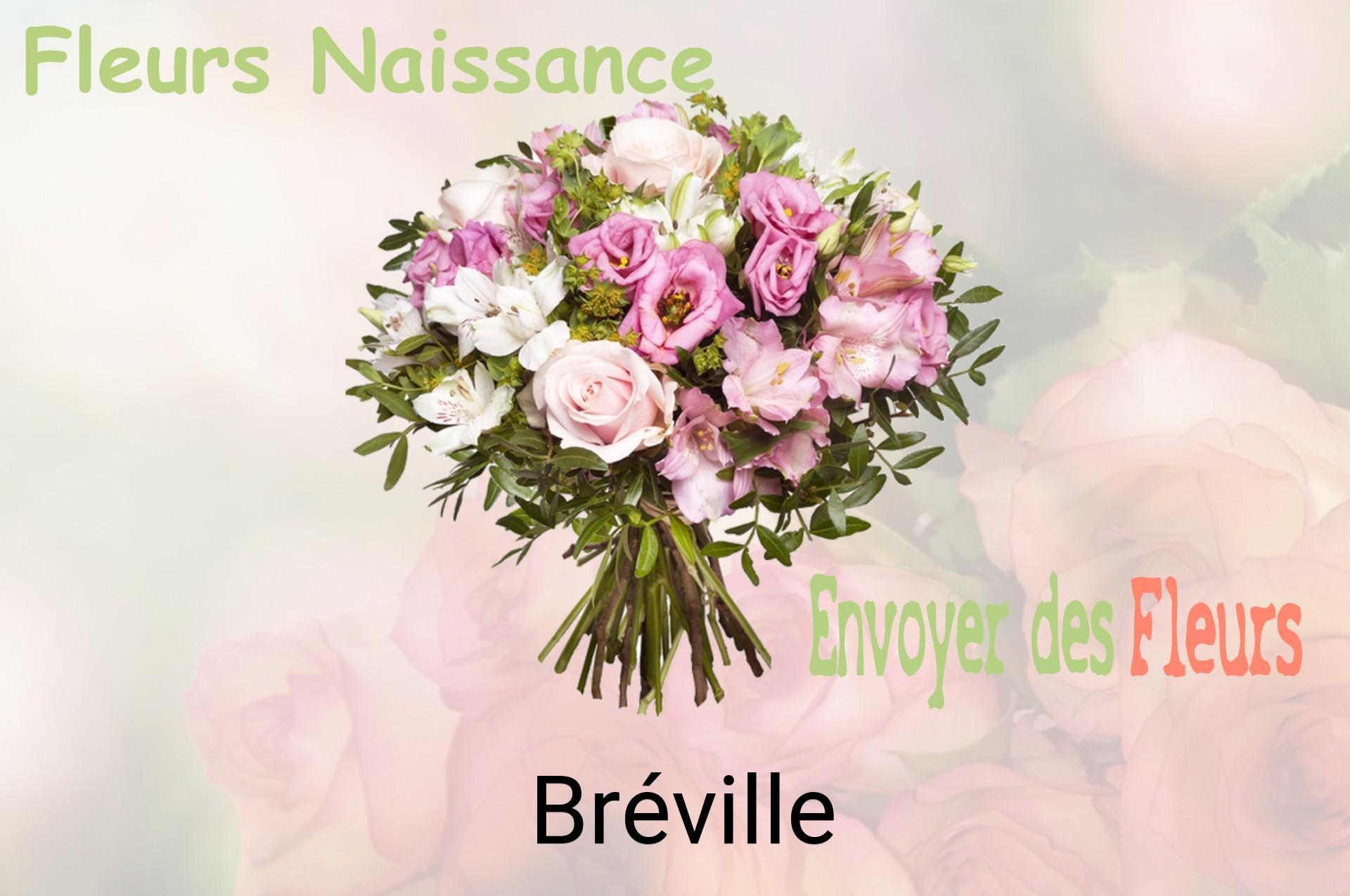 Bouquet de fleurs de naissance livré à Bréville